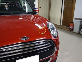 BMW MINIのデントリペア位置